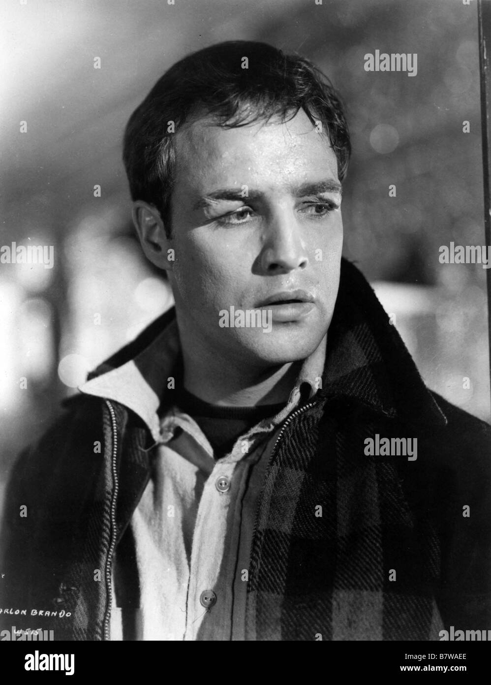 On the Waterfront  Year: 1954 USA  Marlon Brando  Director: Elia Kazan Stock Photo