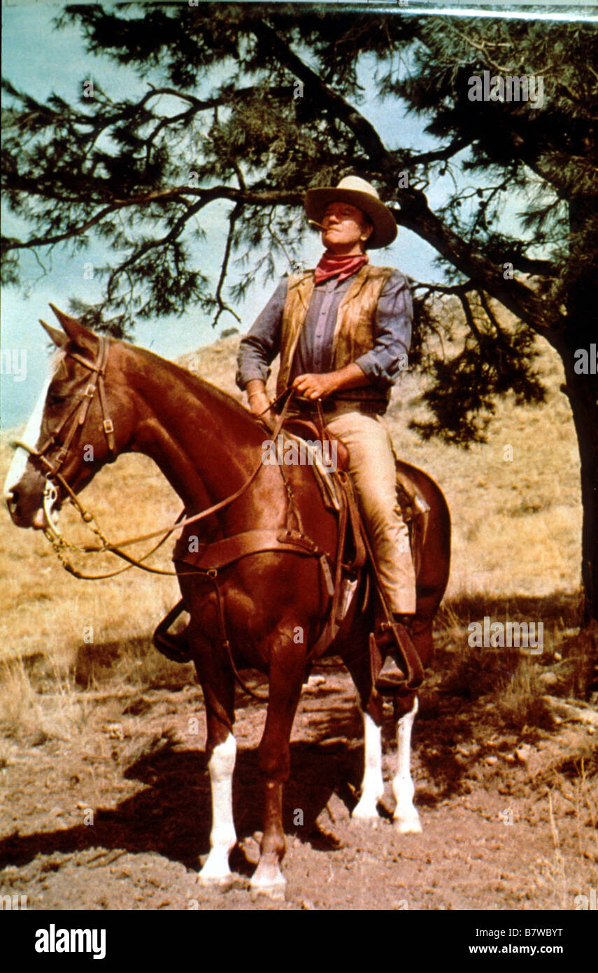John Wayne Horse