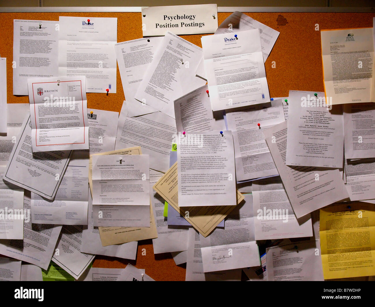 Employment opportunity, job, faculty search, and similar career-oriented postings on a psychology department corkboard. Stock Photo