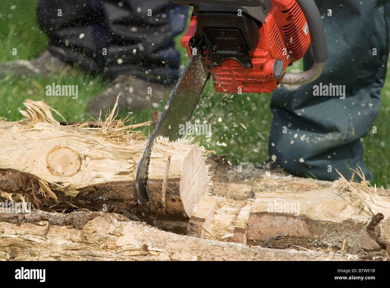 woodcutter cutting log with chainsaw Stock Photo