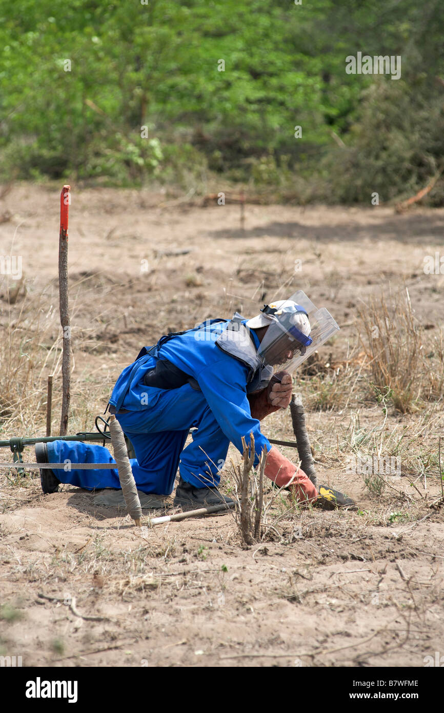 Manual deminer searching by hand for unexploded ordnance in suspected minefields in the Gaza province of Mozambique. Stock Photo