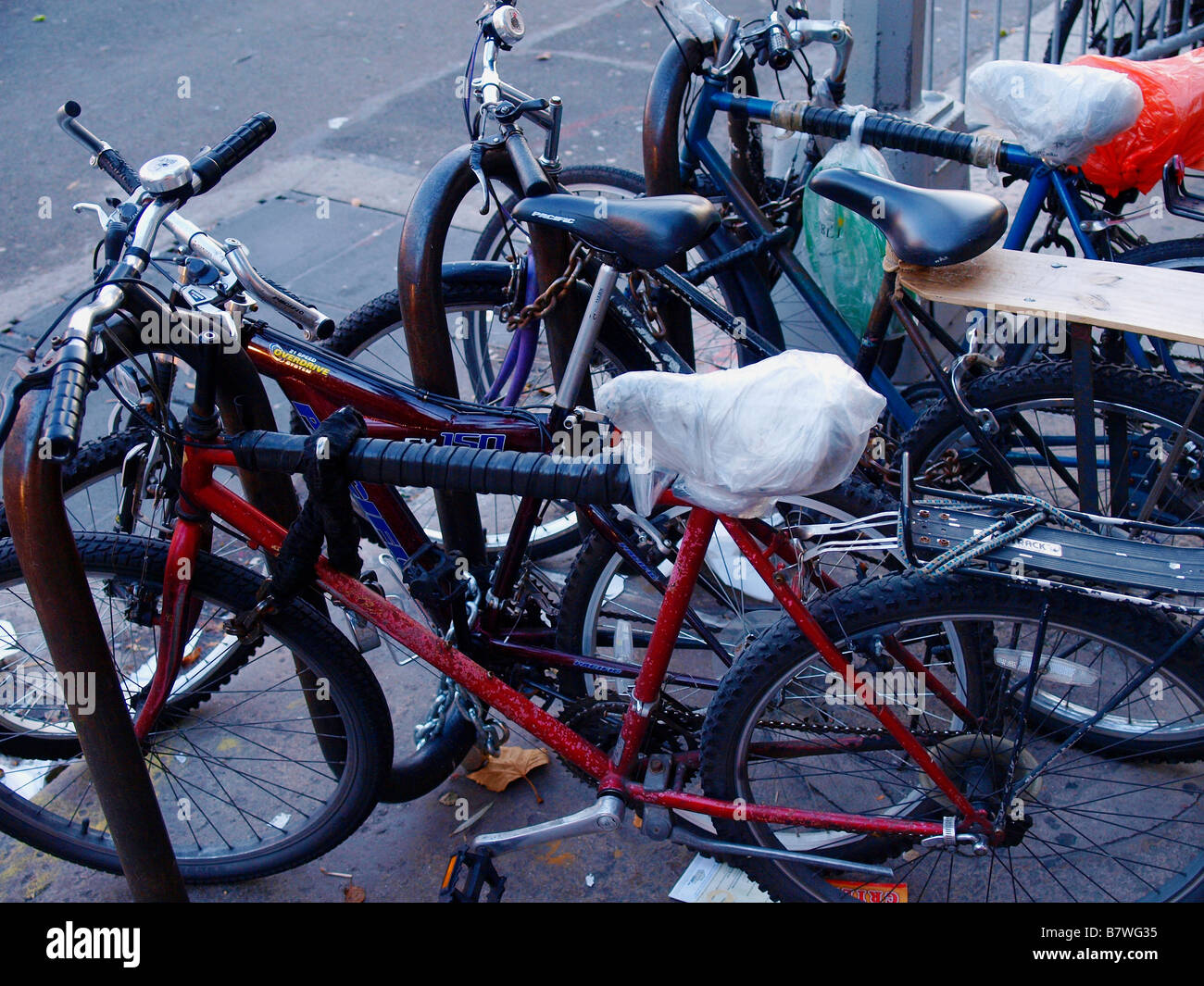 New and used bicycles near me shop