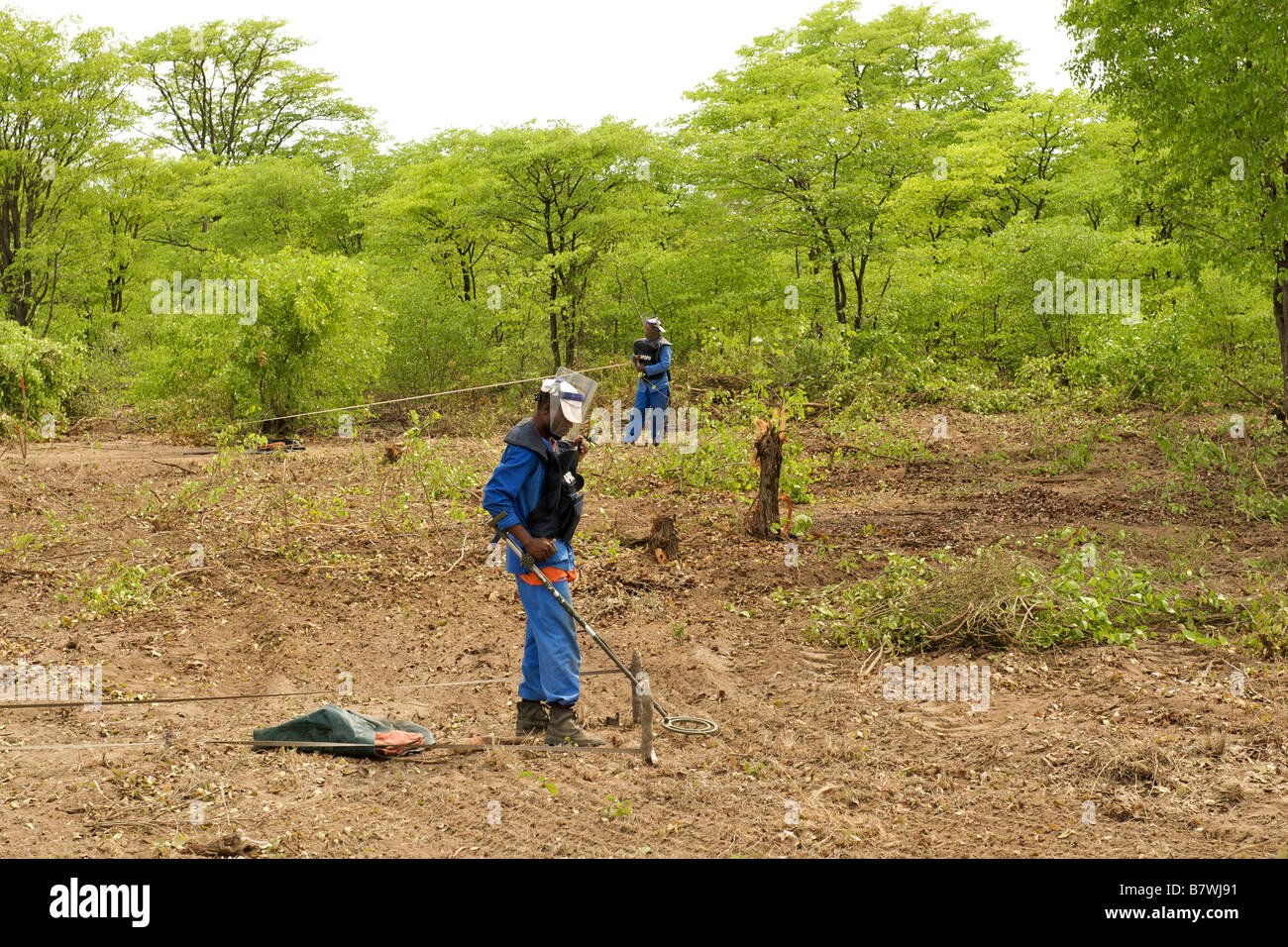 Manual deminers using metal detectors to search for unexploded ordnance in suspected minefields in Mozambique. Stock Photo