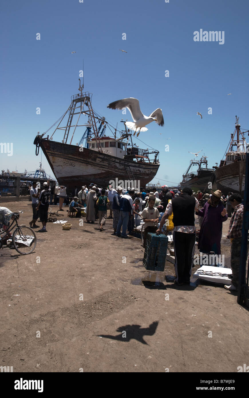 Essaouira Fish Market Stock Photo Alamy