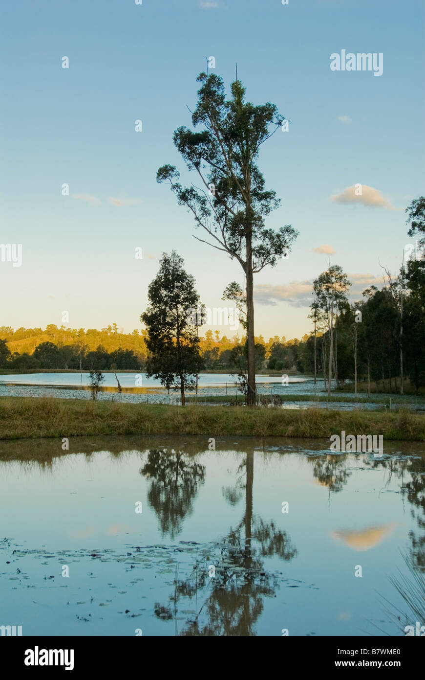 Australian landscape Stock Photo