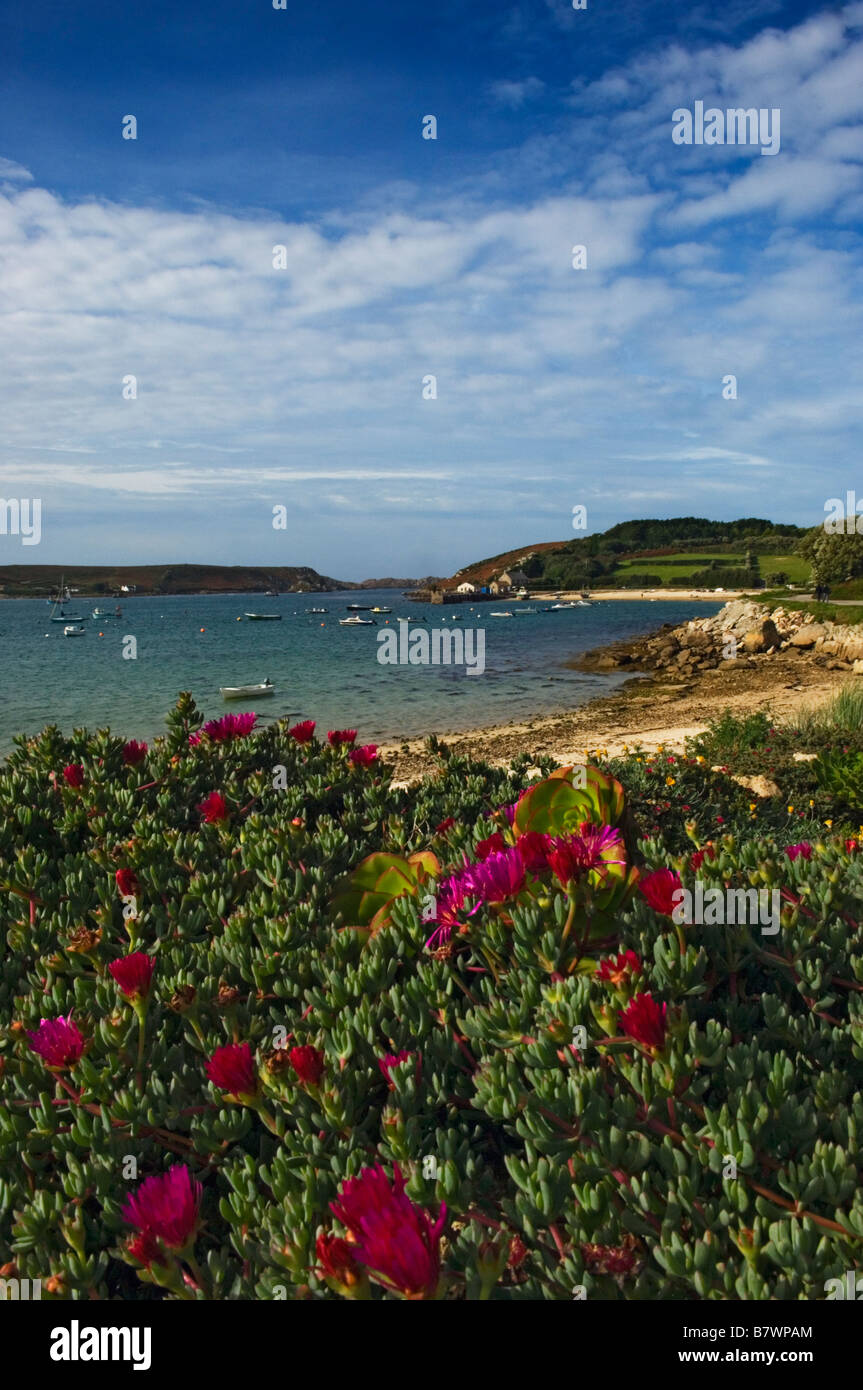 Tresco. Isles of Scilly Cornwall England UK Stock Photo Alamy
