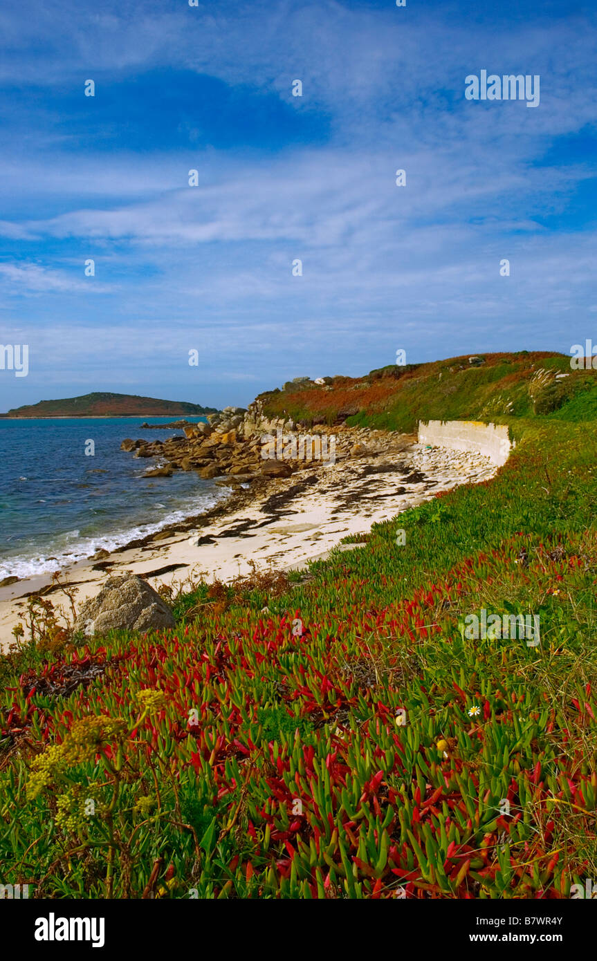 Tresco Isles of Scilly Cornwall England UK Stock Photo Alamy