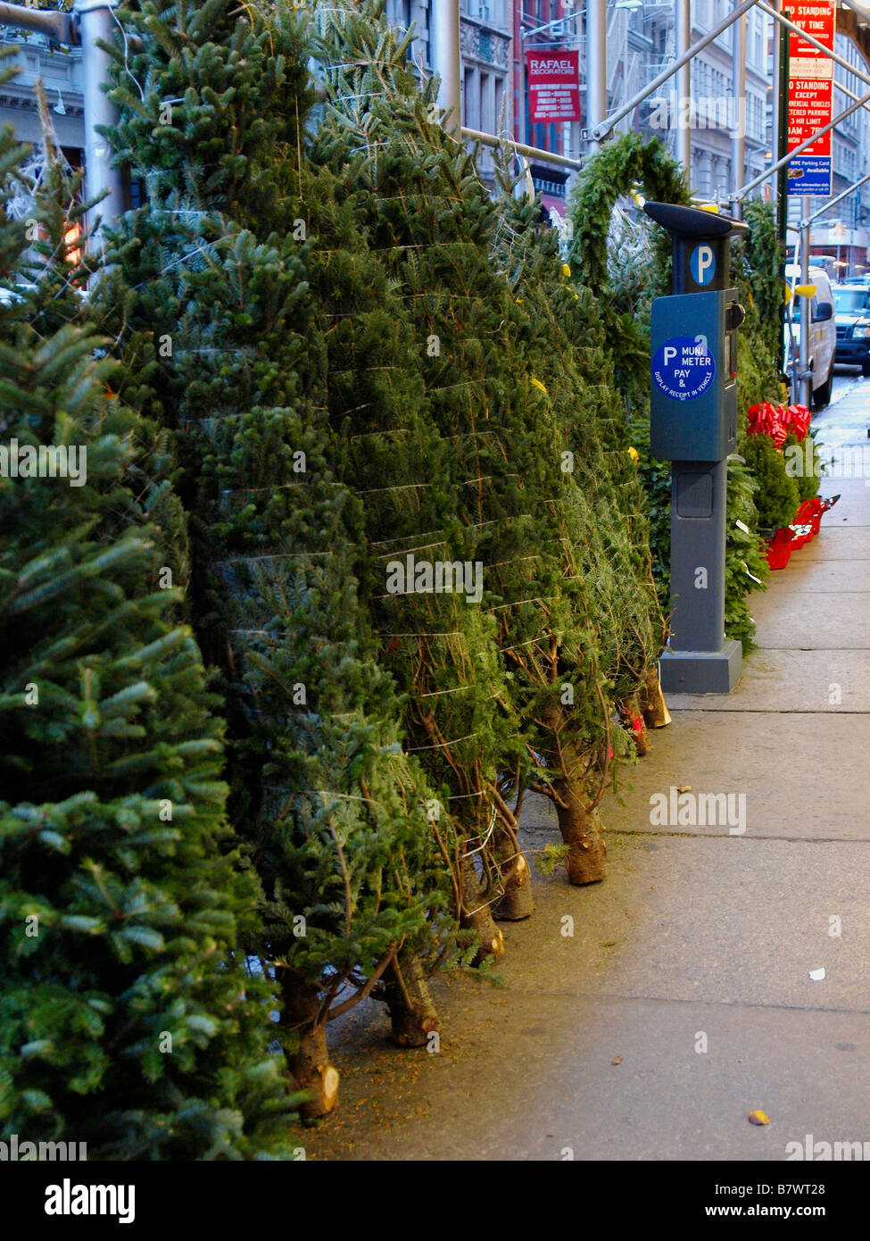Christmas trees on sale on a public sidewalk in New York City, with a parking meter in the