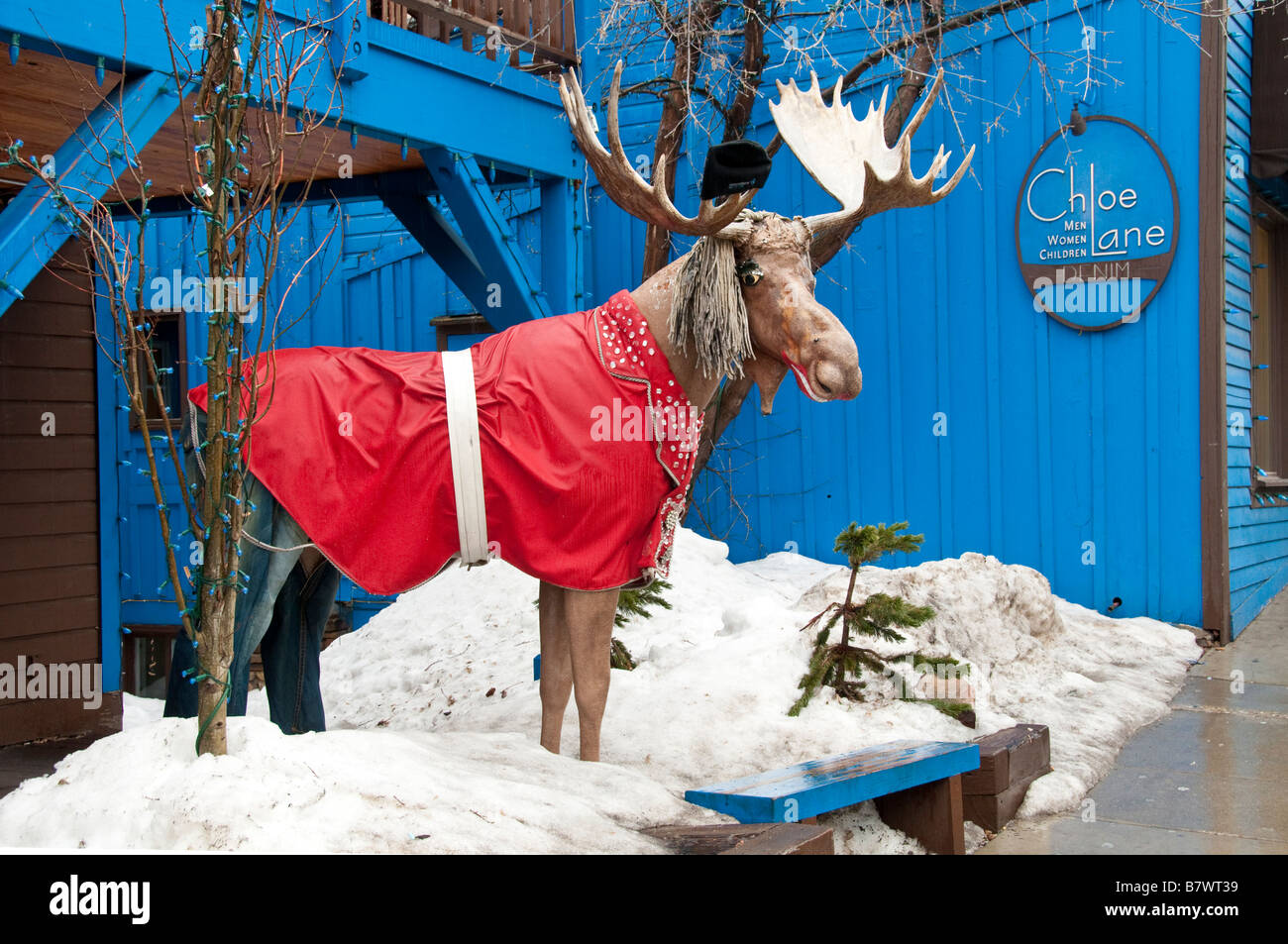 Moose on Main Street, Old Town, Park City, Utah. Stock Photo