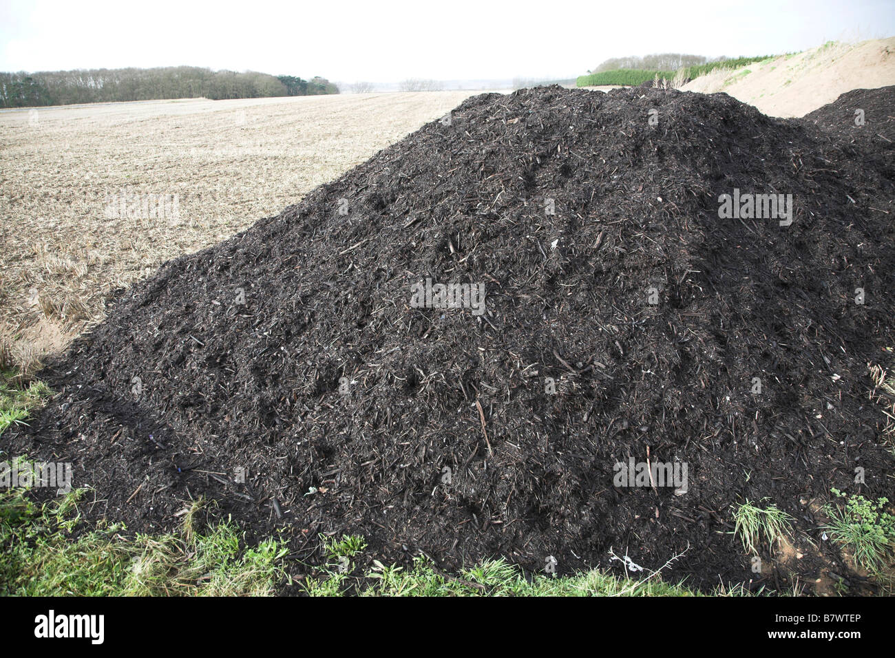 Pile of organic compost manure fertiliser by arable field Sutton Suffolk England Stock Photo
