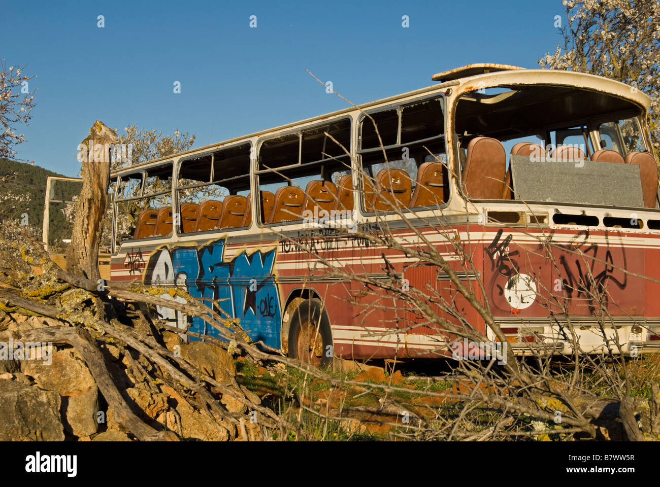 Abandoned bus on an almond tree field Stock Photo