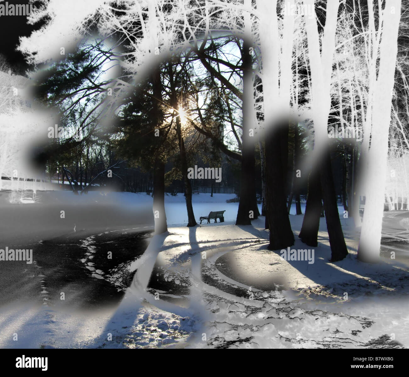 The two frames in perspective mixing color and black negative images of park at winter Stock Photo