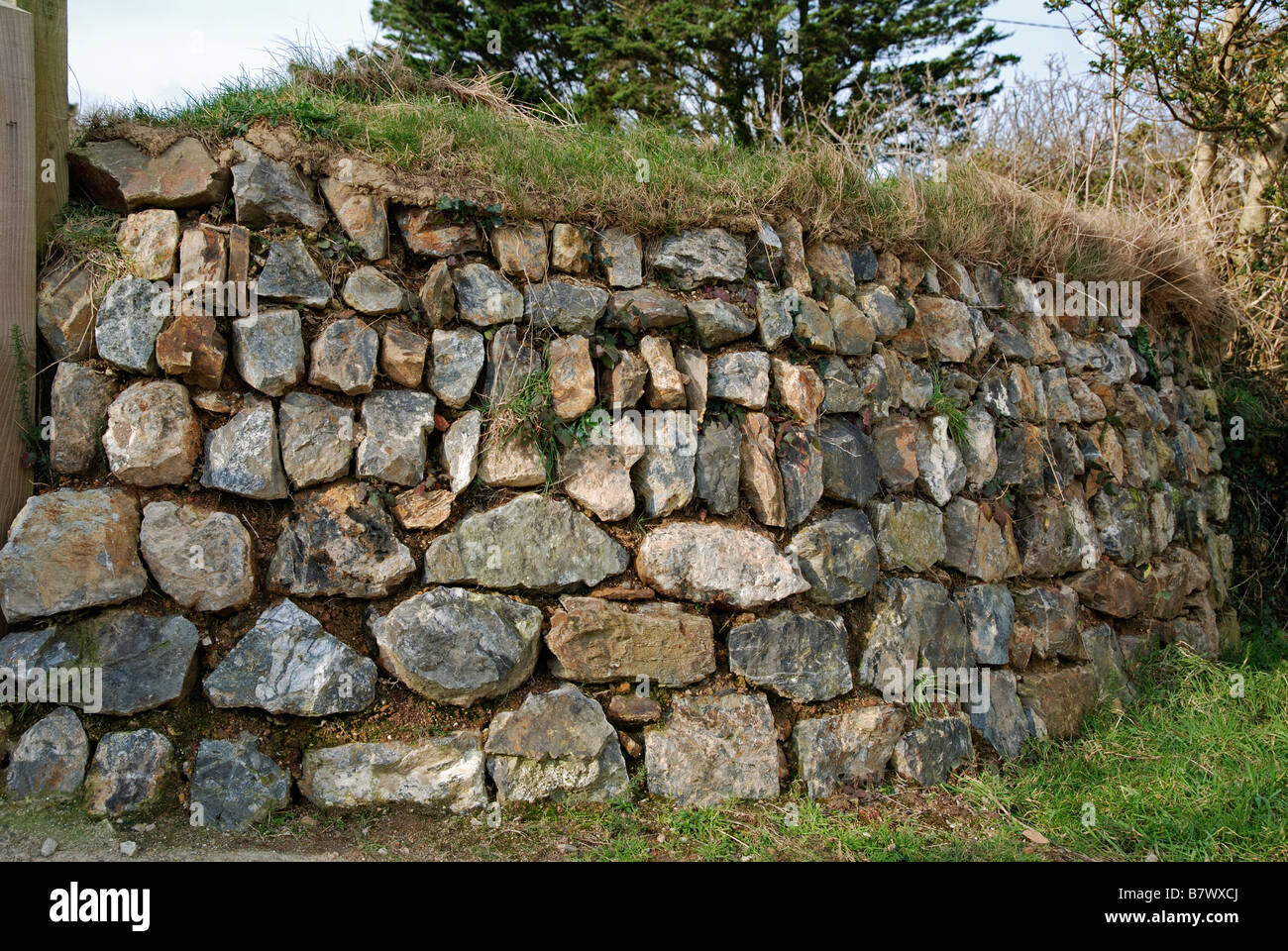 a newly built traditional 'cornish hedge' near helston in cornwall,uk Stock Photo