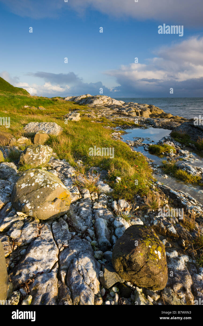 Coastline near Portmuck on Islandmagee Northern Ireland UK Stock Photo