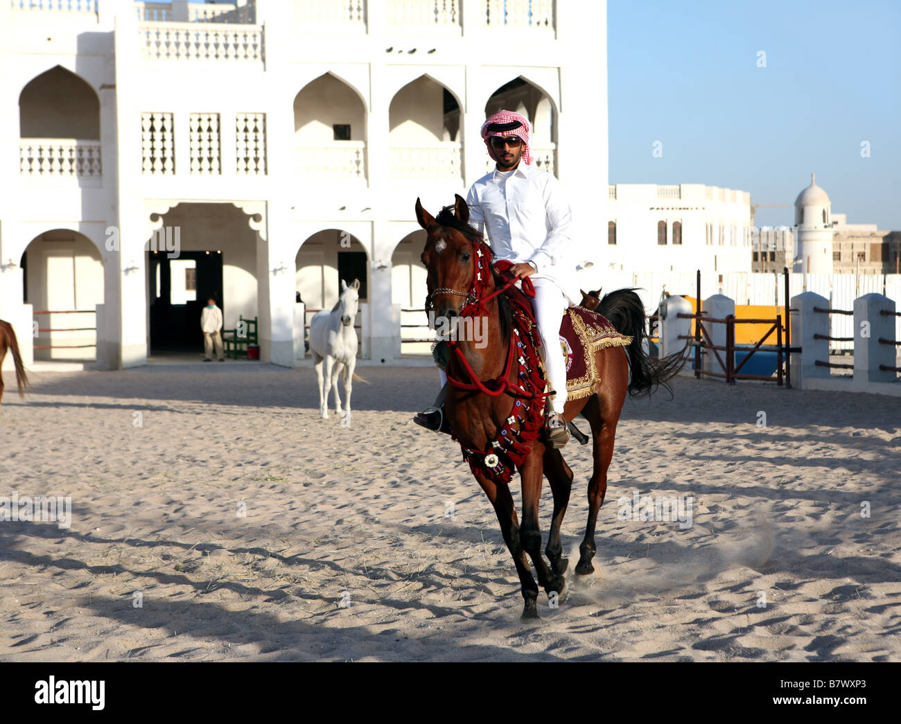 A rider shows off a pure bred Arab stallion its saddle adorned with the State of Qatar arms in central Doha, Qatar Stock Photo