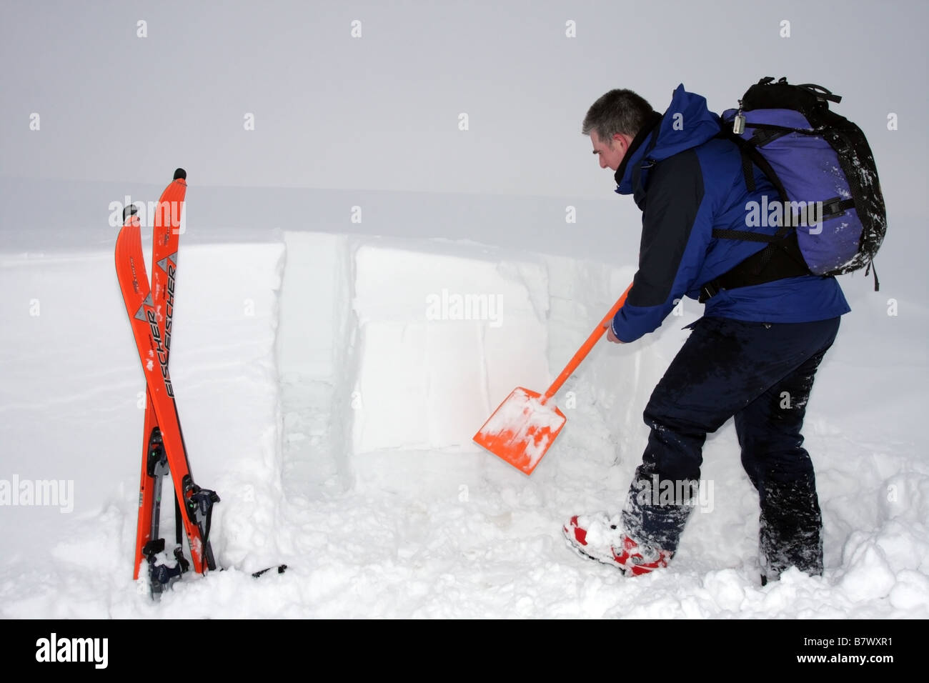 Skier Digging a Snowpit in Order to Assess Avalanche Danger United