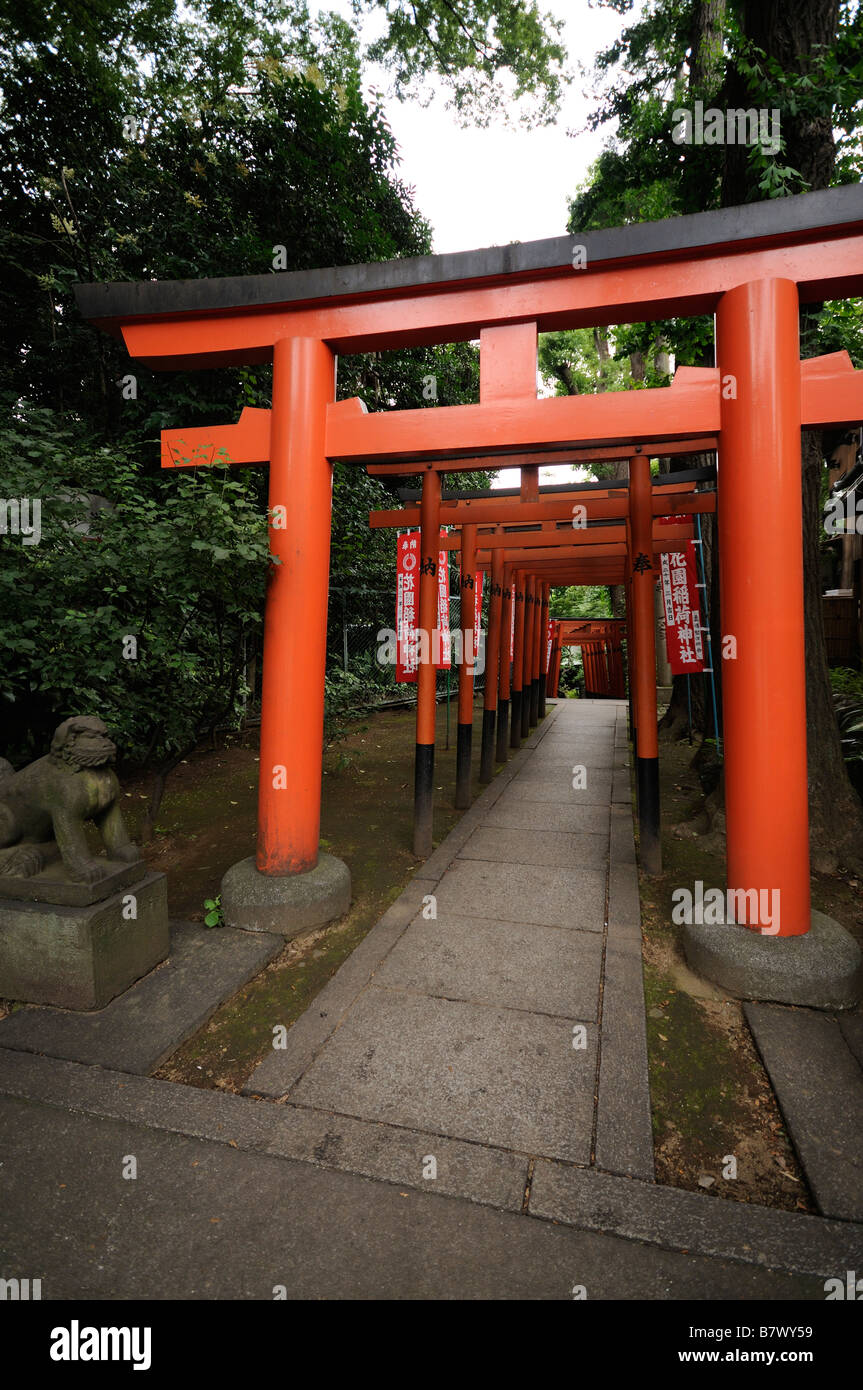 Access path to Gojo Tenjin Shinto Shrine by vermilion wooden torii. Ueno Park. Tokyo. Japan Stock Photo