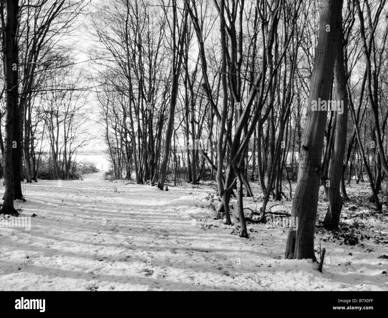 Wilderness setting Black and White Stock Photos & Images - Alamy