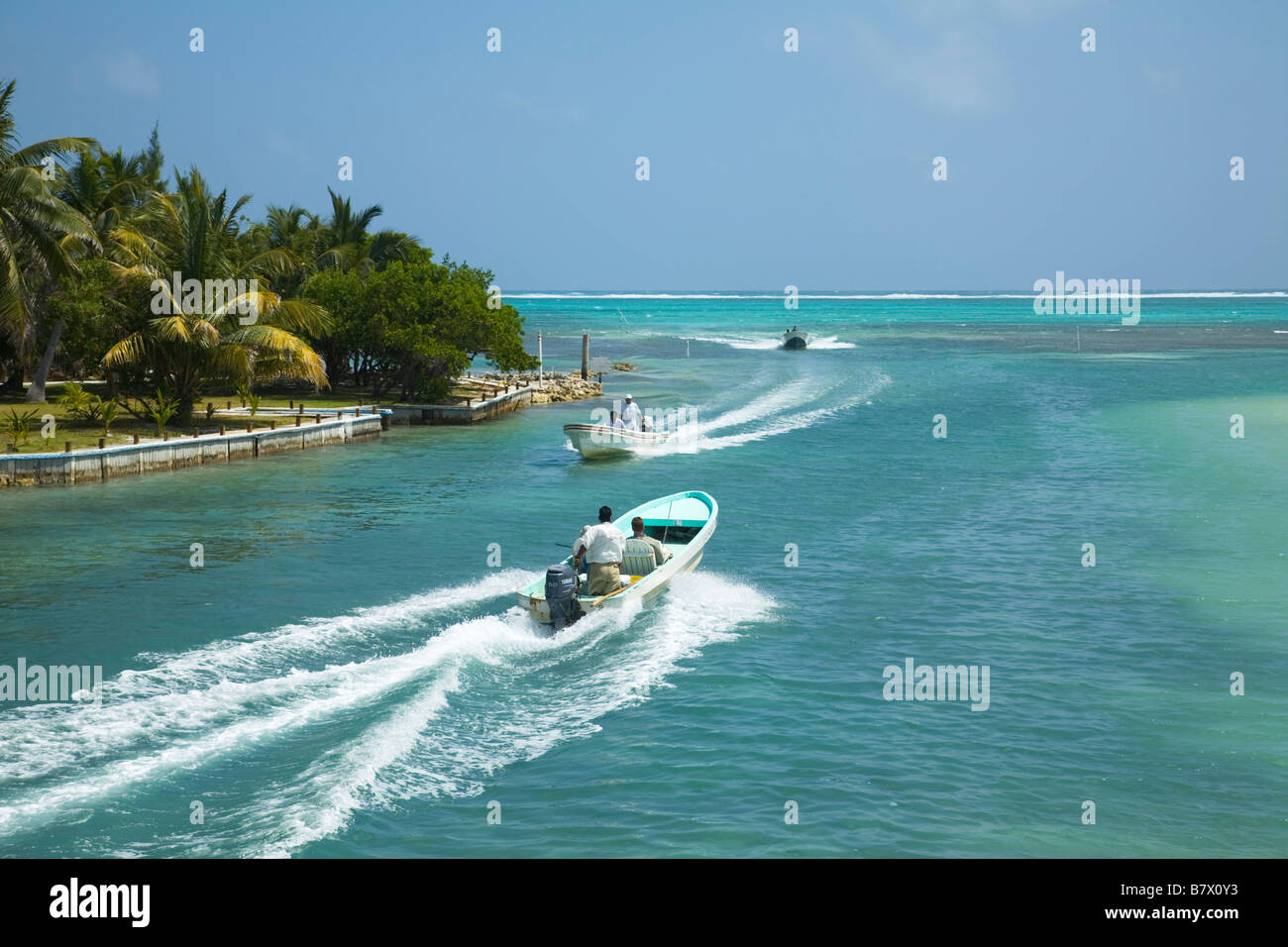 BELIZE San Pedro on Ambergris Caye San Pedro River joins Caribbean motor boats on river palm