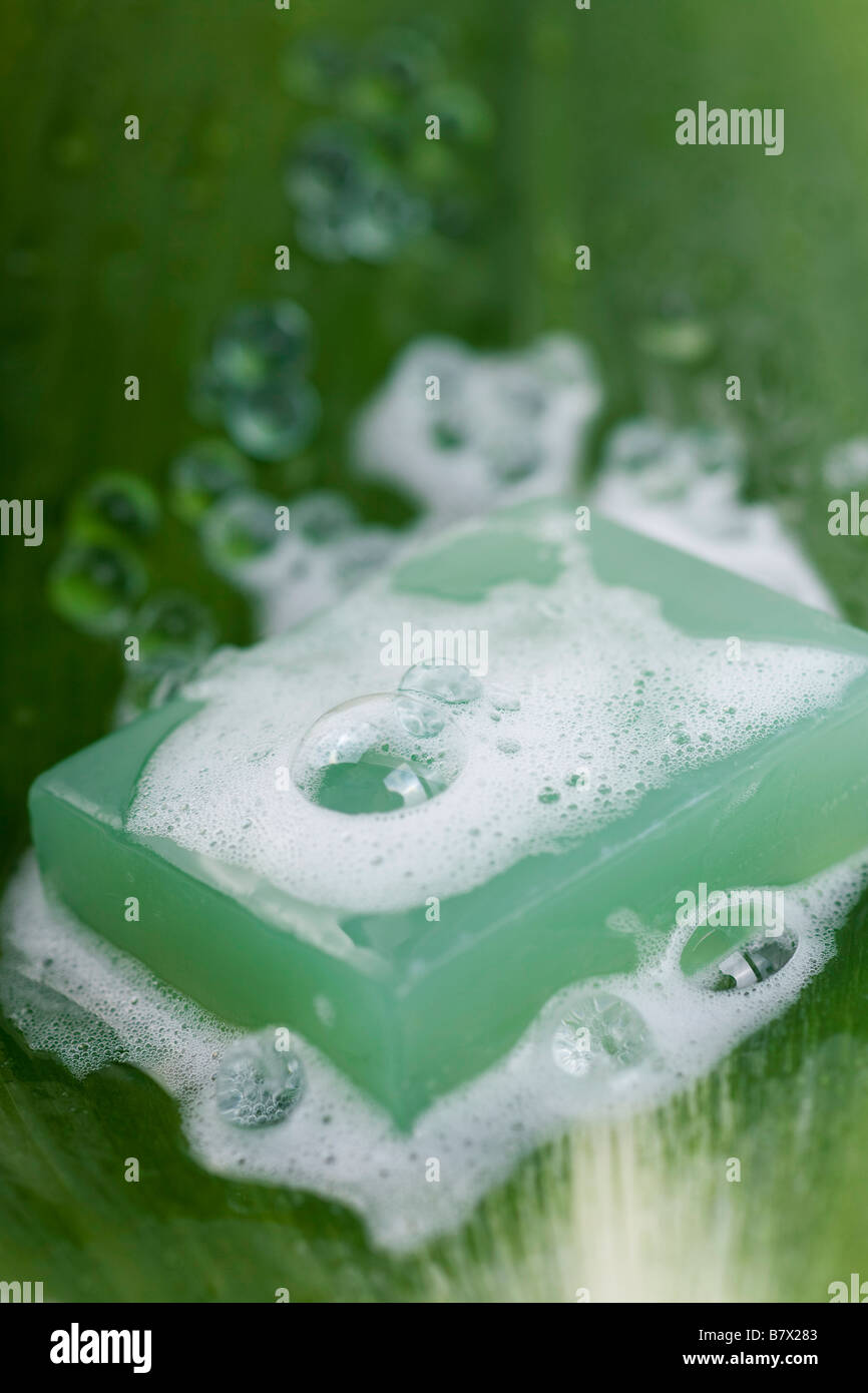 Soap lather online