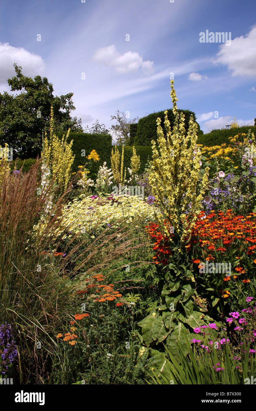 A COLOURFUL SUMMER BORDER IN AN ENGLISH COUNTRY GARDEN Stock Photo - Alamy