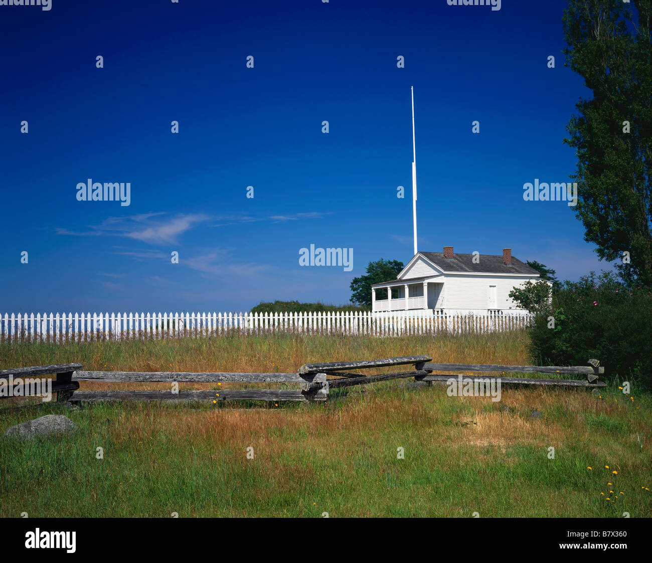 My Image 36