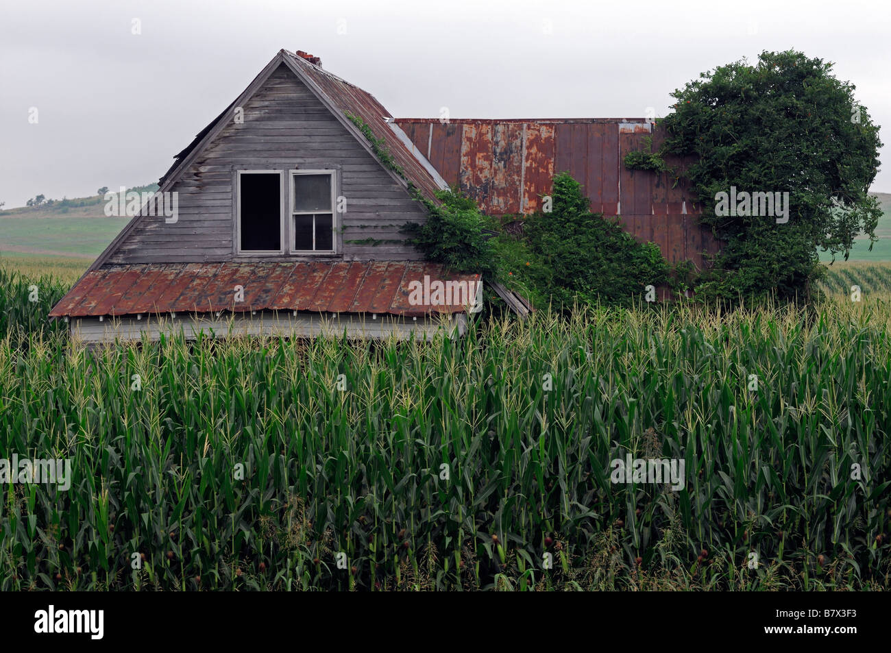 old uninhabited abandoned farmhouse homestead farm house sitting sit
