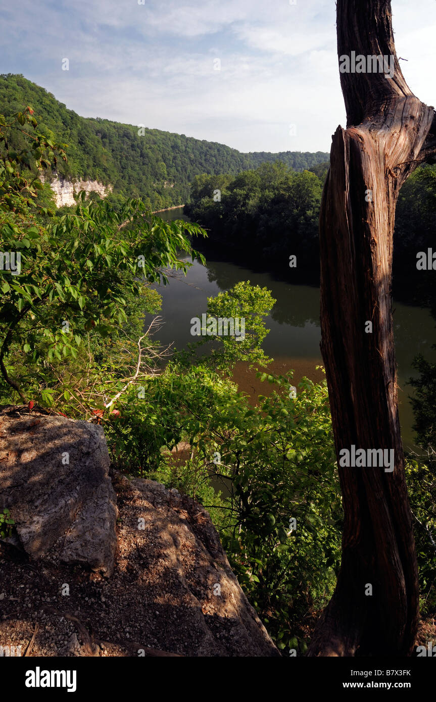 kentucky river overlook bend gorge high height overview summer green trees foliage Stock Photo