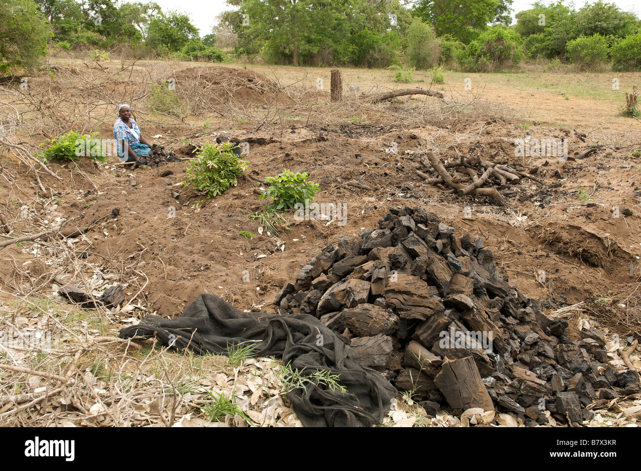 African Woman Work Field High Resolution Stock Photography and Images ...