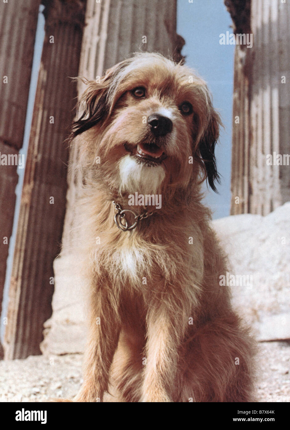 For the love of benji best sale 1977
