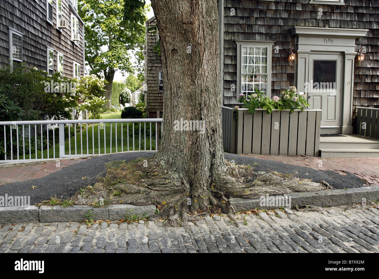 Oprindeligt var der ingen træer på øen Nantucket USA 08 2008 Stock Photo