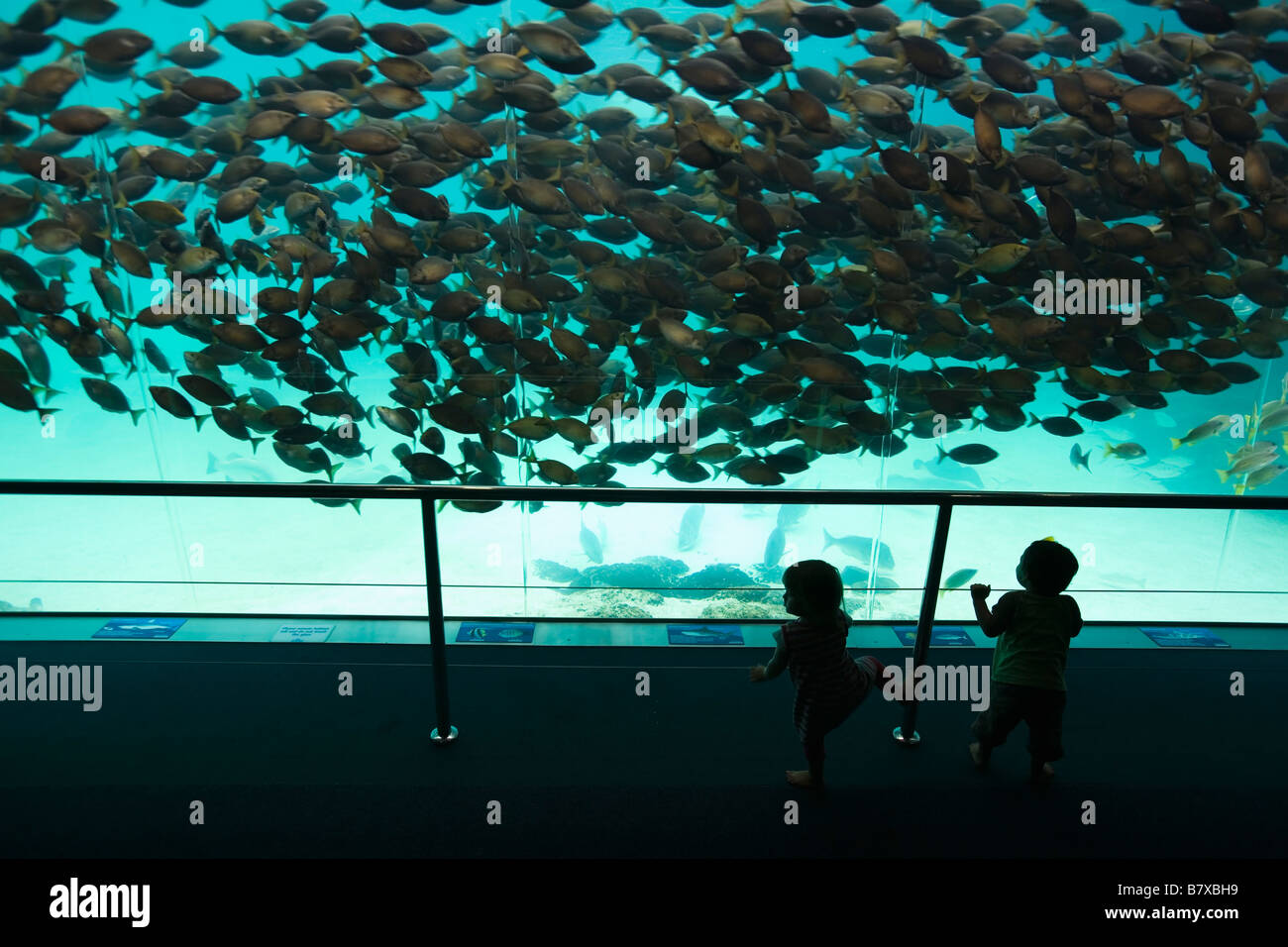 Gold coast australia hires stock photography and images Alamy