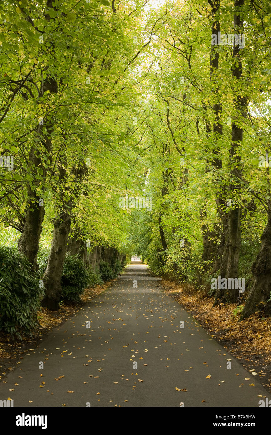 Maxwell Park, Glasgow Stock Photo Alamy