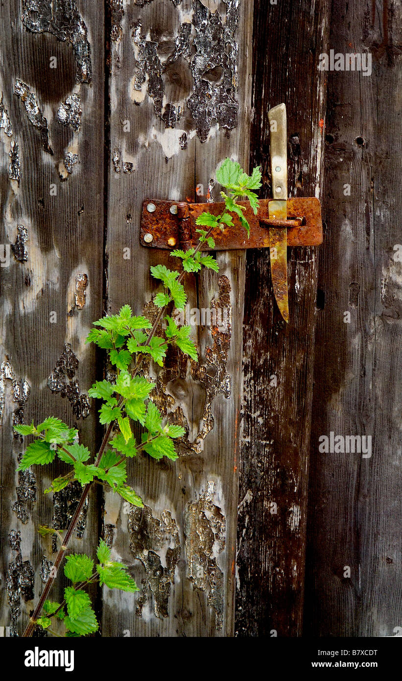 Old lock used door knife Stock Photo Alamy