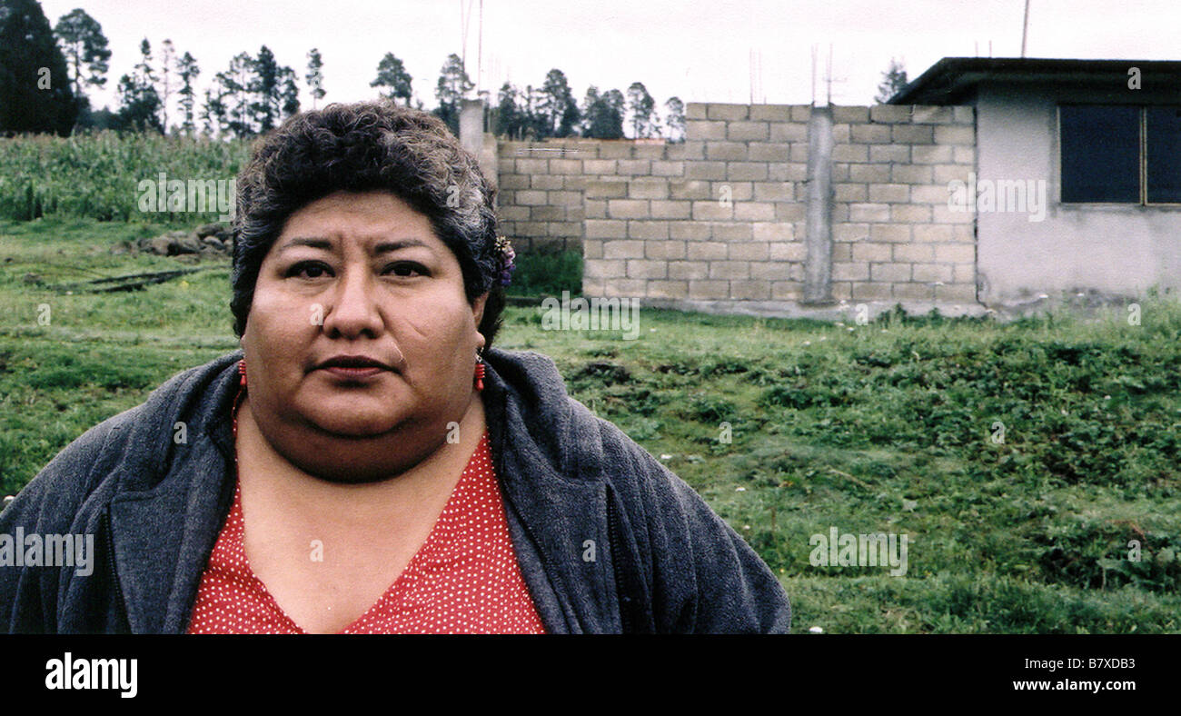 Bataille Dans Le Ciel Batalla En El Cielo Year Mexico Bertha Ruiz Director Carlos