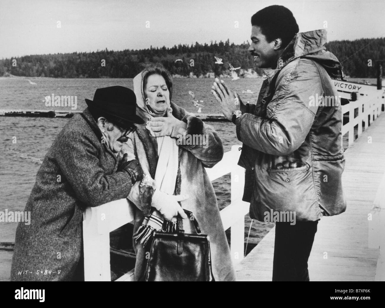 Hit!  Hit!  Year: 1973 USA Billy Dee Williams  Director: Sidney J. Furie Stock Photo
