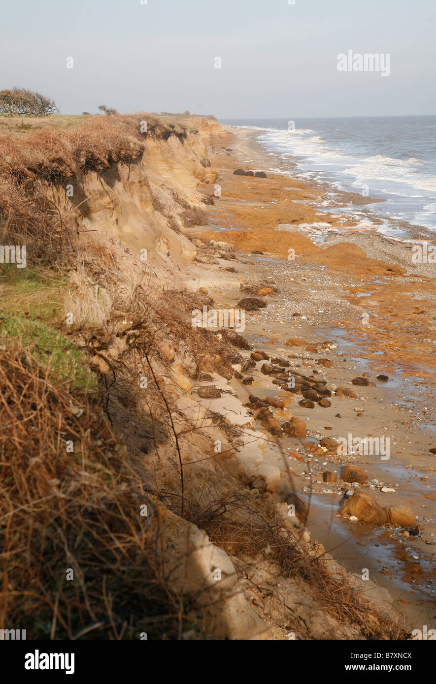 Suffolk Cliffs Rapidly eroding sandy cliffs Benacre Suffolk England Stock Photo - Alamy