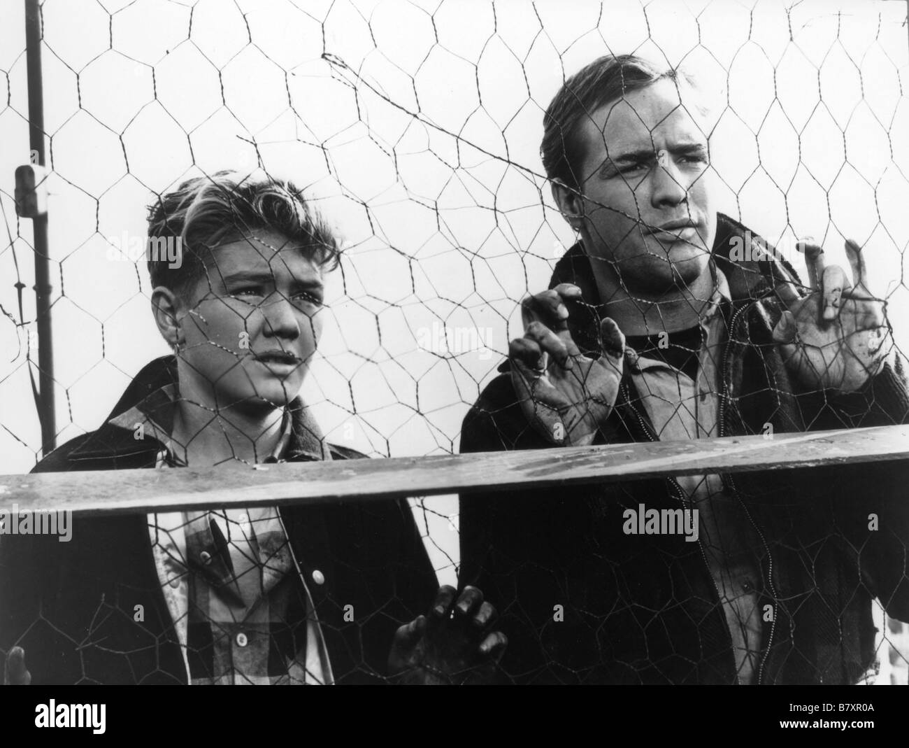 On the Waterfront  Year: 1954 USA  Marlon Brando , Thomas Handley  Director: Elia Kazan Stock Photo