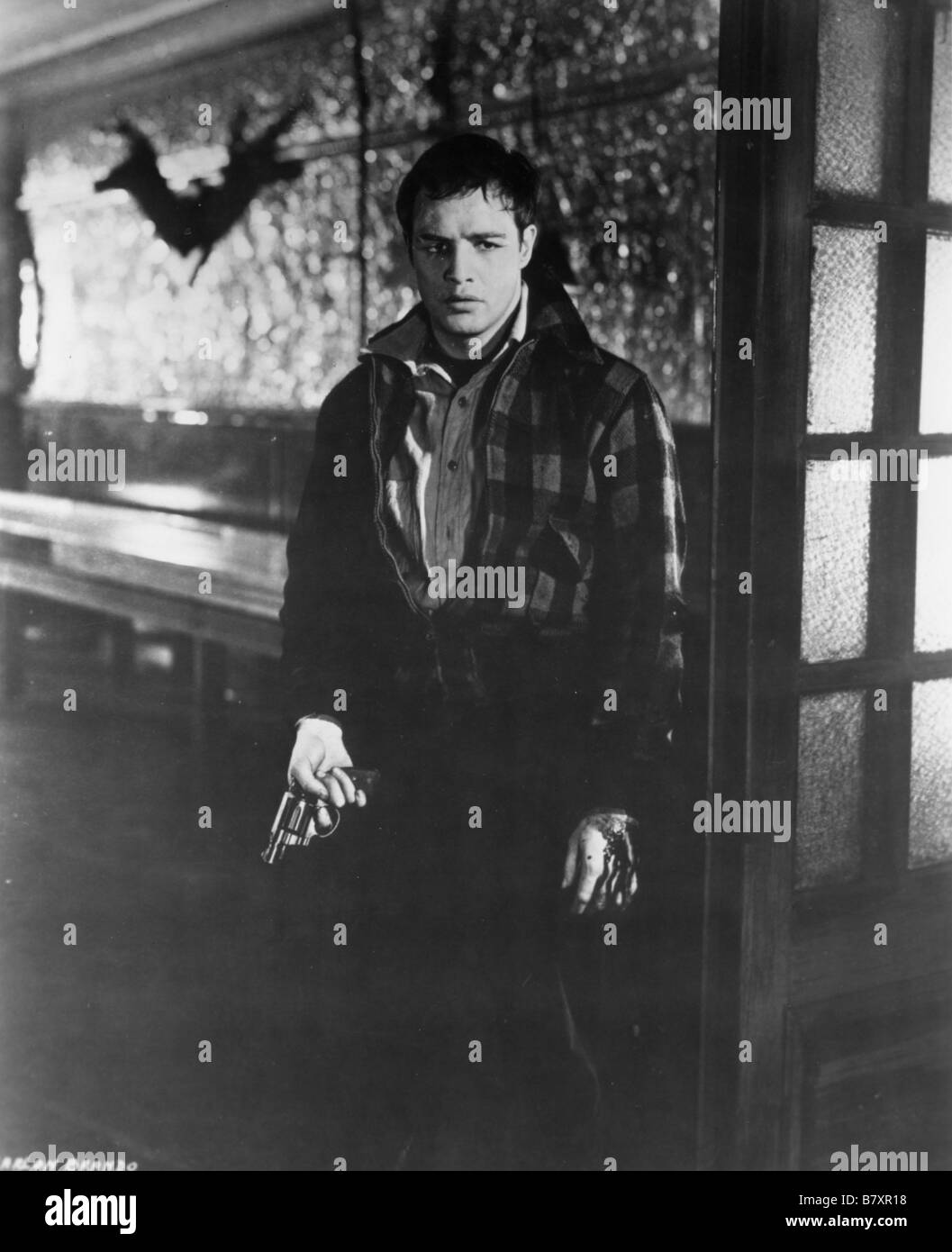 On the Waterfront  Year: 1954 USA  Marlon Brando  Director: Elia Kazan Stock Photo