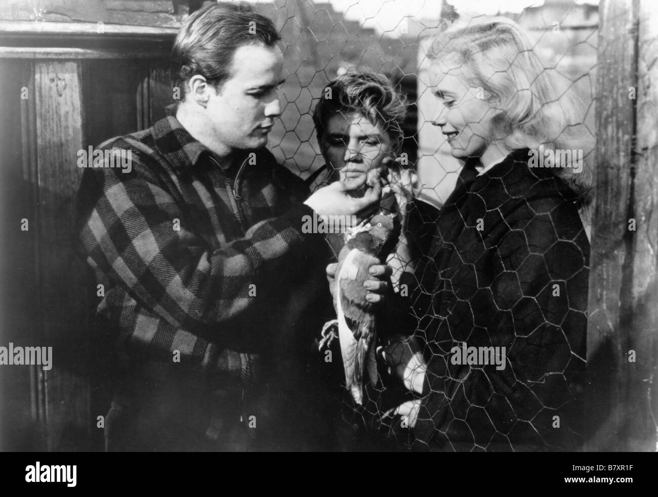 On the Waterfront  Year: 1954 USA  Marlon Brando , Eva Marie Saint , Thomas Handley  Director: Elia Kazan Stock Photo