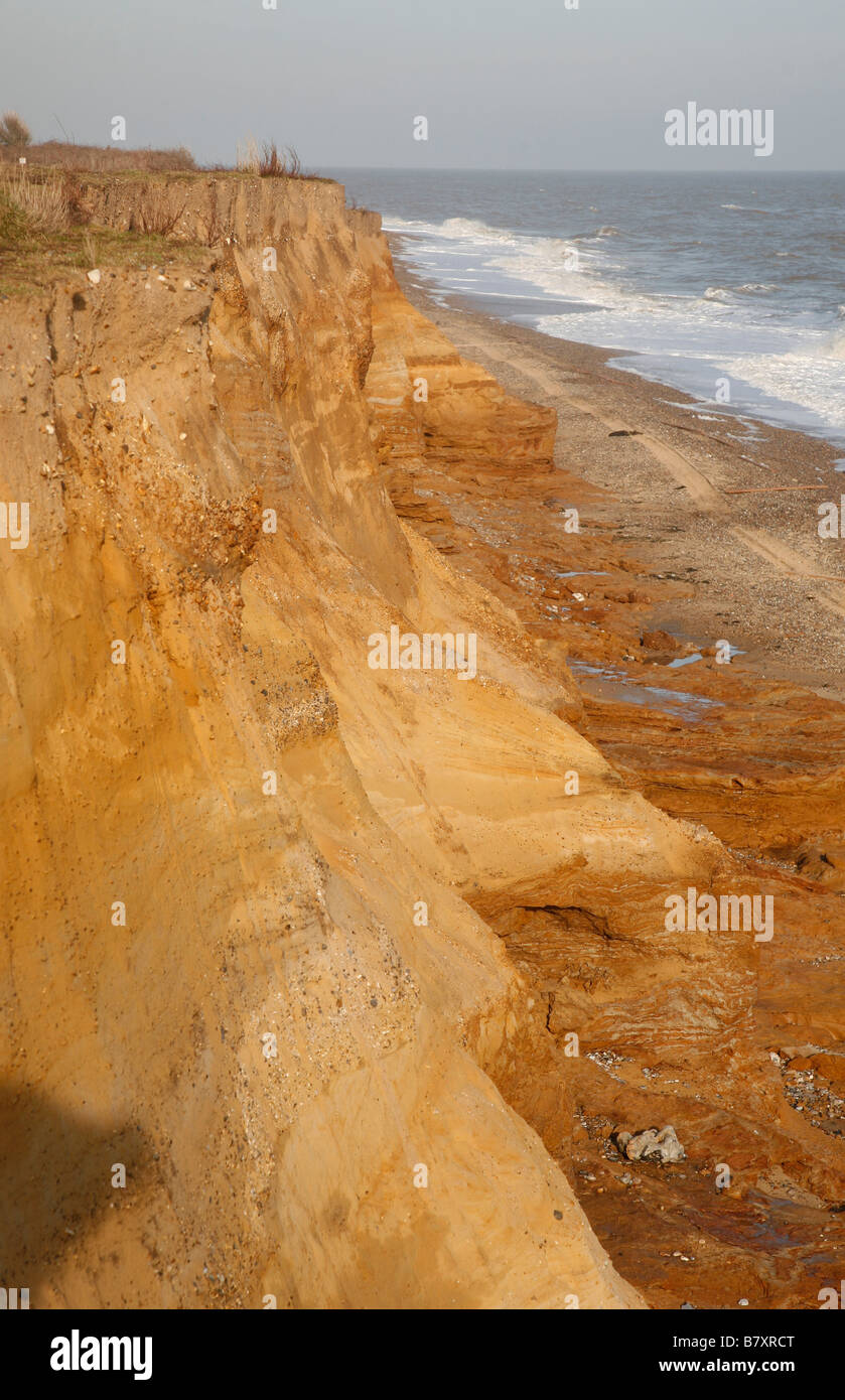 Rapidly eroding sandy cliffs Benacre Suffolk England Stock Photo