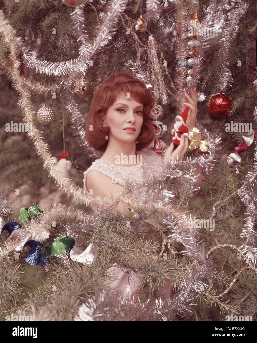 Gina lollobrigida hi-res stock photography and images - Alamy