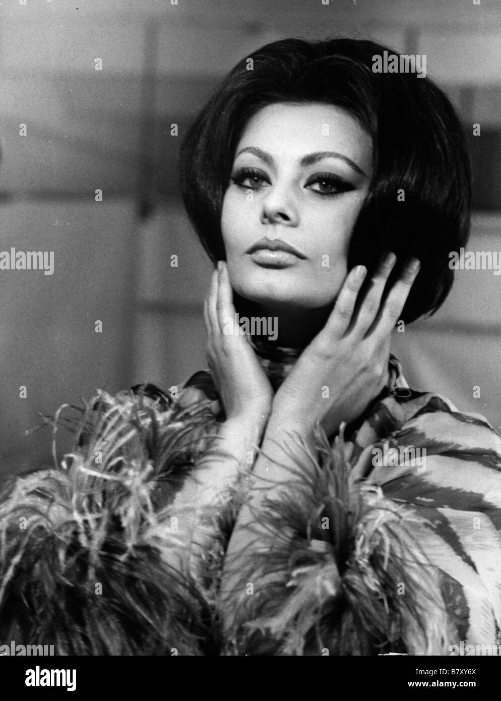 Sophia Loren Arabesque Year : 1966 USA Director : Stanley Donen Stock ...