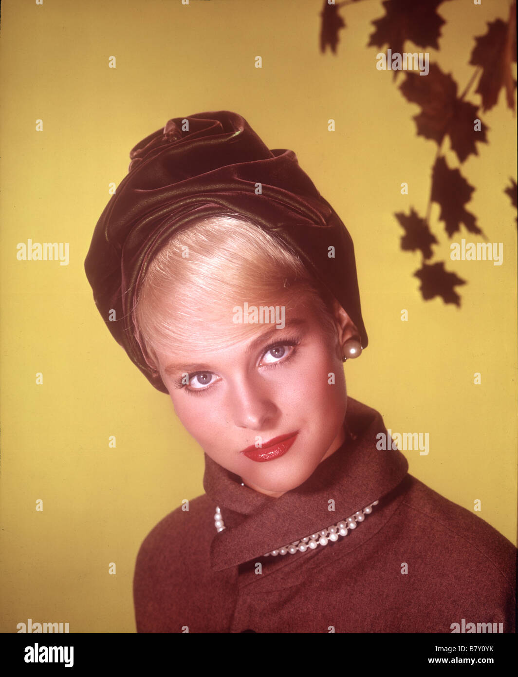 Diane mcbain hires stock photography and images Alamy