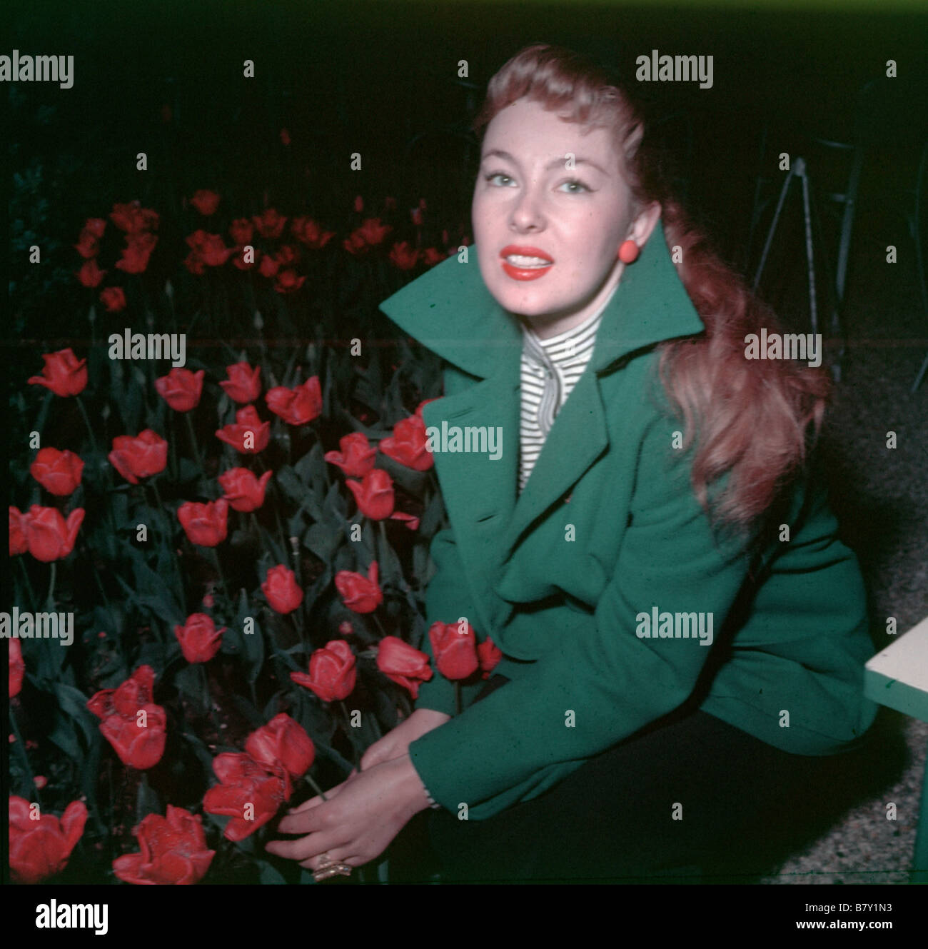 Dominique Wilms Dominique Wilms Dominique Wilms Stock Photo Alamy