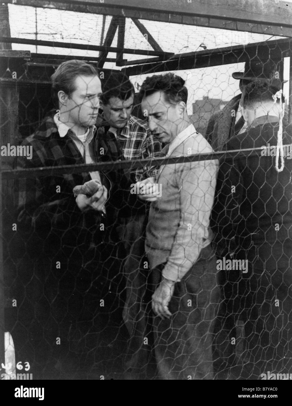 Marlon Brando, Elia Kazan, on the set On the Waterfront  Year: 1954 USA   Director: Elia Kazan Stock Photo