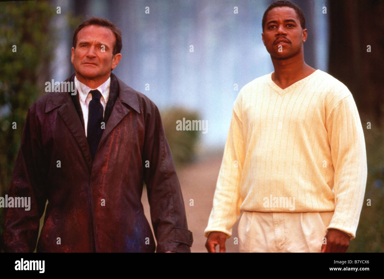 What Dreams May Come Year: 1998 USA Robin Williams , Cuba Gooding Jr