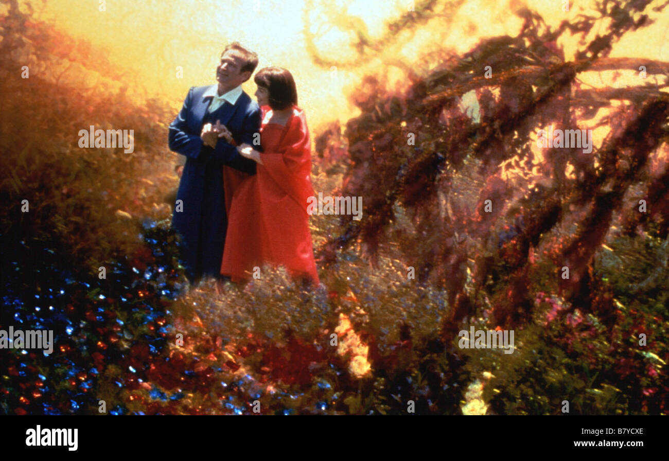 What Dreams May Come Year 1998 USA Robin Williams , Annabella Sciorra Director Vincent Ward