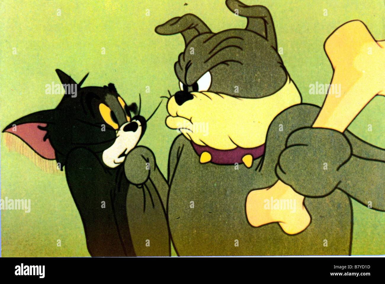 Spike Hund Tom Jerry The Homey Design