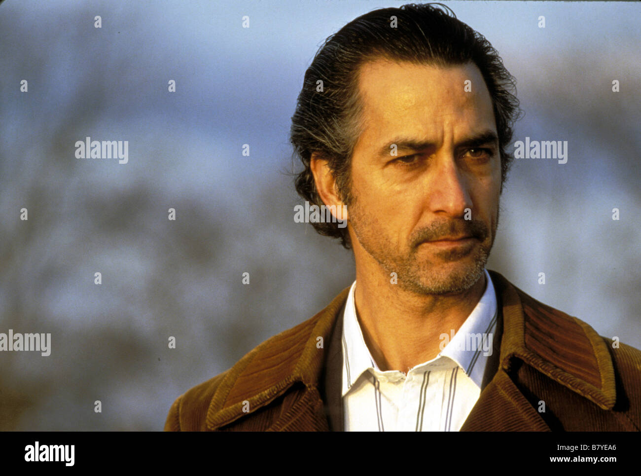 The Firm  Year: 1993 USA David Strathairn  Director: Sydney Pollack Stock Photo